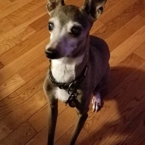 Meet your Posher, Lisa